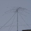 RW1CU_1